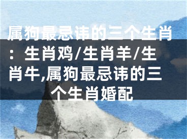 属狗最忌讳的三个生肖：生肖鸡/生肖羊/生肖牛,属狗最忌讳的三个生肖婚配