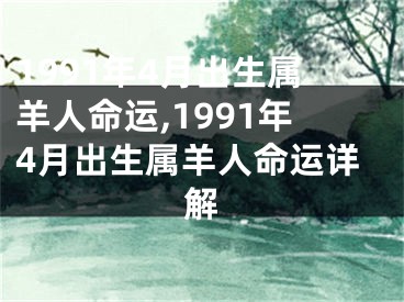 1991年4月出生属羊人命运,1991年4月出生属羊人命运详解
