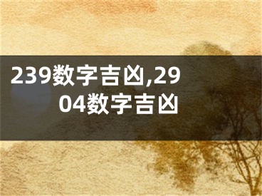 239数字吉凶,2904数字吉凶