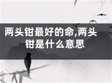 两头钳最好的命,两头钳是什么意思