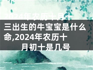 2024年农历十月十三出生的牛宝宝是什么命,2024年农历十月初十是几号