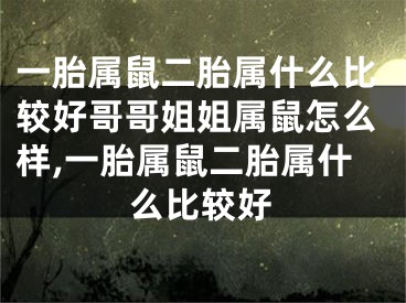 一胎属鼠二胎属什么比较好哥哥姐姐属鼠怎么样,一胎属鼠二胎属什么比较好