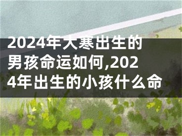 2024年大寒出生的男孩命运如何,2024年出生的小孩什么命