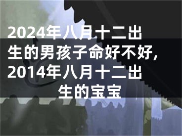 2024年八月十二出生的男孩子命好不好,2014年八月十二出生的宝宝