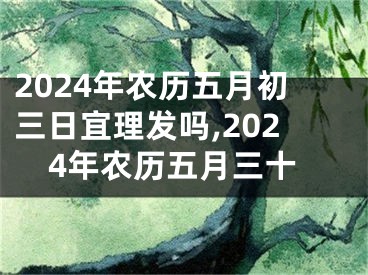 2024年农历五月初三日宜理发吗,2024年农历五月三十