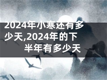 2024年小寒还有多少天,2024年的下半年有多少天