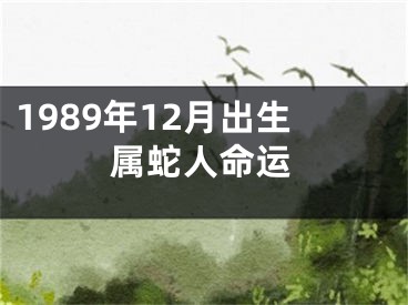 1989年12月出生属蛇人命运