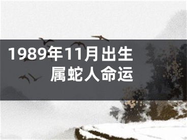 1989年11月出生属蛇人命运