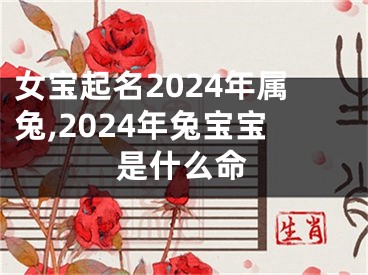 女宝起名2024年属兔,2024年兔宝宝是什么命