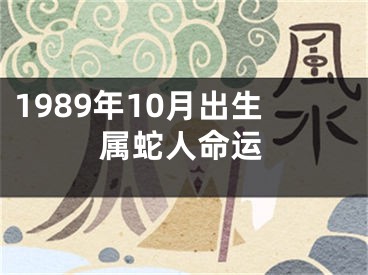 1989年10月出生属蛇人命运