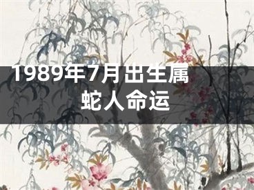 1989年7月出生属蛇人命运