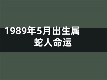 1989年5月出生属蛇人命运