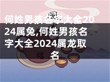 何姓男孩名字大全2024属兔,何姓男孩名字大全2024属龙取名