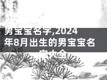 2024年8月出生的男宝宝名字,2024年8月出生的男宝宝名字大全