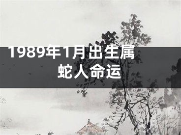1989年1月出生属蛇人命运