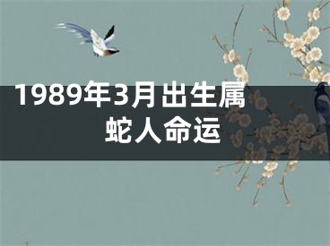 1989年3月出生属蛇人命运