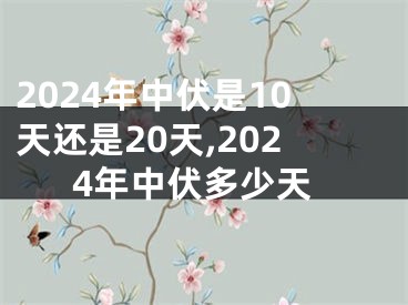 2024年中伏是10天还是20天,2024年中伏多少天