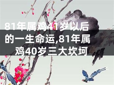 81年属鸡41岁以后的一生命运,81年属鸡40岁三大坎坷