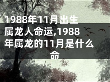 1988年11月出生属龙人命运,1988年属龙的11月是什么命