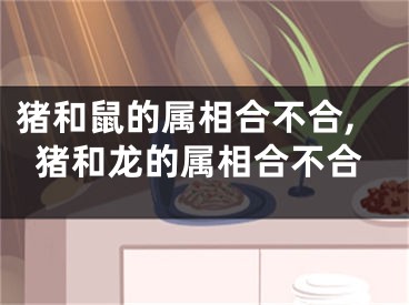 猪和鼠的属相合不合,猪和龙的属相合不合