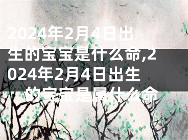 2024年2月4日出生的宝宝是什么命,2024年2月4日出生的宝宝是属什么命