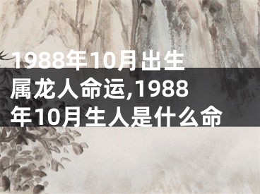 1988年10月出生属龙人命运,1988年10月生人是什么命