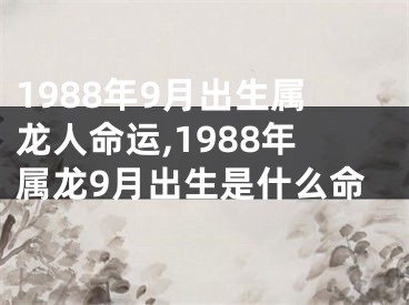 1988年9月出生属龙人命运,1988年属龙9月出生是什么命