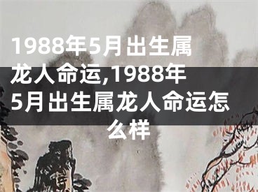1988年5月出生属龙人命运,1988年5月出生属龙人命运怎么样