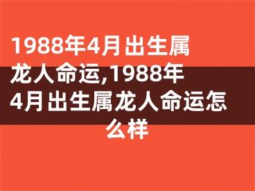 1988年4月出生属龙人命运,1988年4月出生属龙人命运怎么样