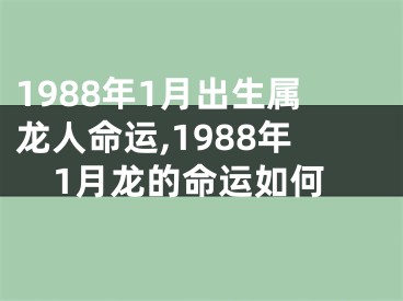 1988年1月出生属龙人命运,1988年1月龙的命运如何