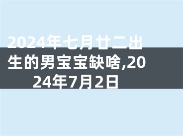 2024年七月廿二出生的男宝宝缺啥,2024年7月2日