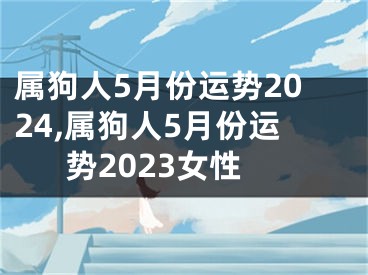 属狗人5月份运势2024,属狗人5月份运势2023女性