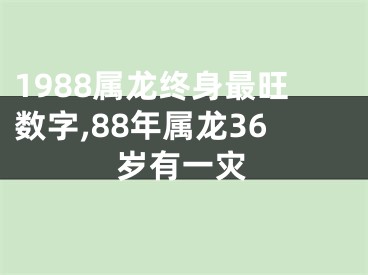 1988属龙终身最旺数字,88年属龙36岁有一灾