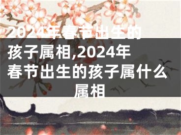 2024年春节出生的孩子属相,2024年春节出生的孩子属什么属相