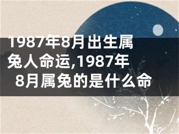 1987年8月出生属兔人命运,1987年8月属兔的是什么命