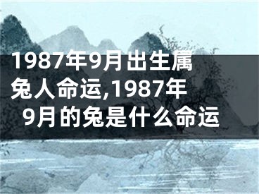 1987年9月出生属兔人命运,1987年9月的兔是什么命运