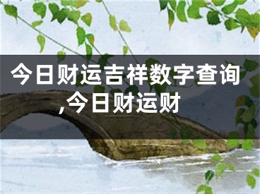 今日财运吉祥数字查询,今日财运财
