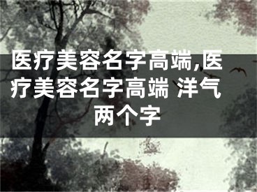 医疗美容名字高端,医疗美容名字高端 洋气两个字