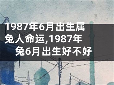 1987年6月出生属兔人命运,1987年兔6月出生好不好