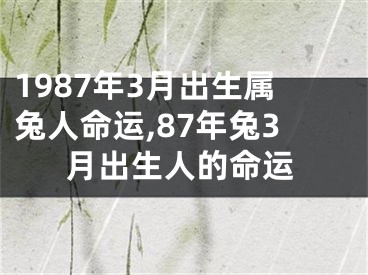 1987年3月出生属兔人命运,87年兔3月出生人的命运