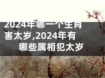 2024年哪一个生肖害太岁,2024年有哪些属相犯太岁