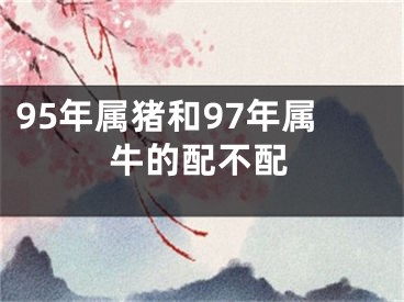 95年属猪和97年属牛的配不配
