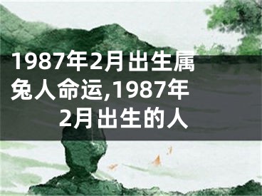 1987年2月出生属兔人命运,1987年2月出生的人