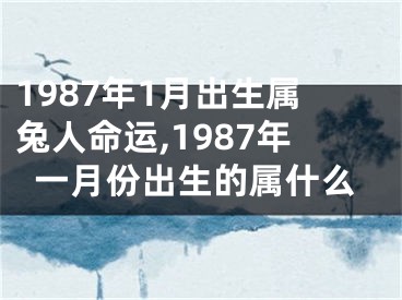 1987年1月出生属兔人命运,1987年一月份出生的属什么