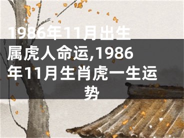 1986年11月出生属虎人命运,1986年11月生肖虎一生运势