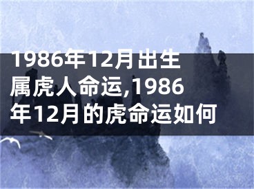 1986年12月出生属虎人命运,1986年12月的虎命运如何