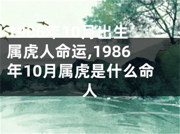 1986年10月出生属虎人命运,1986年10月属虎是什么命人