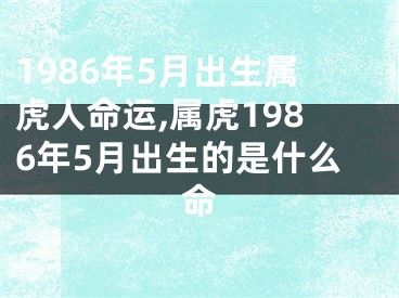 1986年5月出生属虎人命运,属虎1986年5月出生的是什么命
