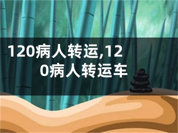 120病人转运,120病人转运车