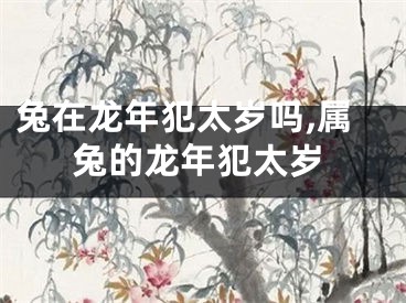 兔在龙年犯太岁吗,属兔的龙年犯太岁